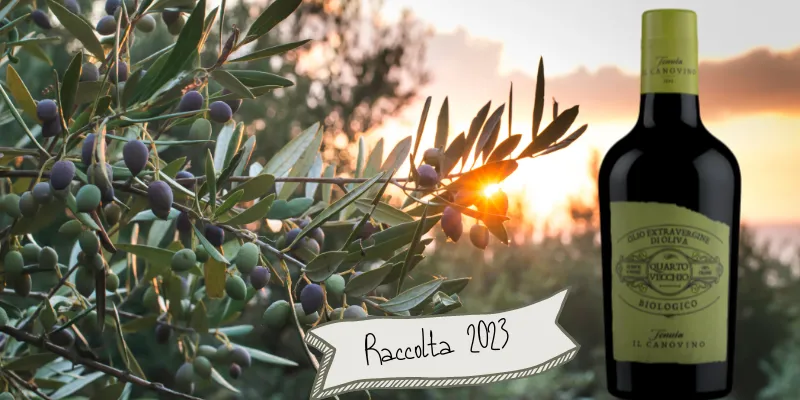 Pronti con il nuovo raccolto!