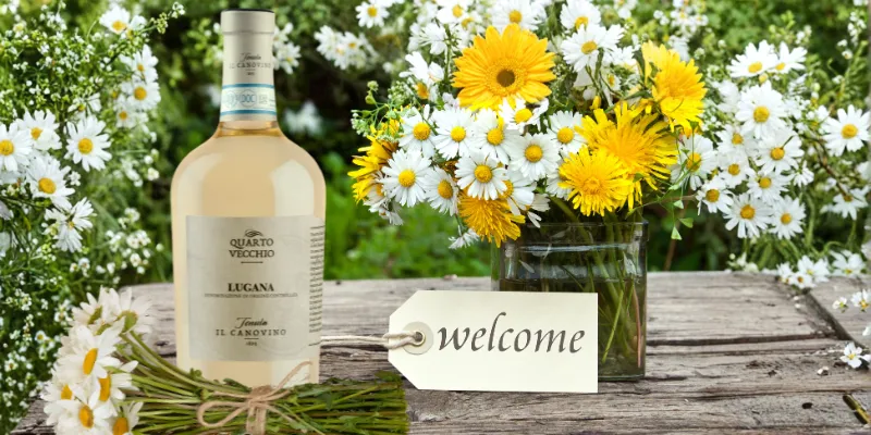 New entry '25: Lugana doc