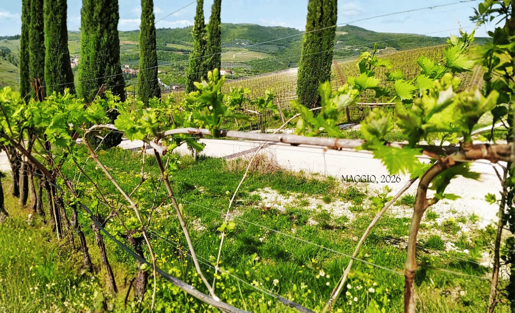 Nuove annate, iniziative, eventi... Teniamoci in contatto!